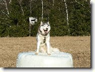 Takhle zhora vás vidim lépe