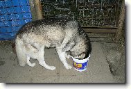 Je tam ještě něco?