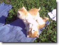 když jsem byl ještě malý kluk,...