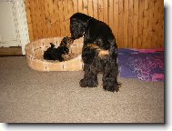 Malá princezna a krásný princ