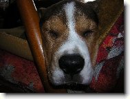 tam vážně neprolezu