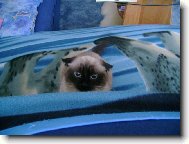 Jsem ale hodně naštvaná!!!