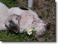 To se mi ale dobře spinká !