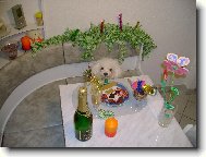 čekám na číšníka