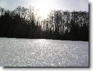 Příroda na Šumavě