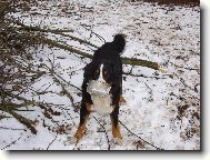 Dáš mi něco dobrého???