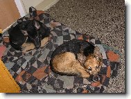 Matýsek (10let) + Terezka (4 měsíce)