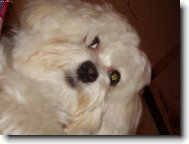 moje malá lásečka:-)