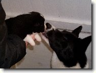 Beník se svou psí mámou