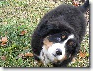 Víc už to oko otevřít neumím