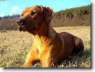 vyhřívám se na sluníčku