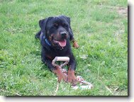 Vhrál jsem ! ! ! Jsem hrdina :o)