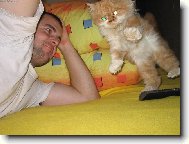 takhle chodí jen kocouři-frajeři