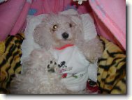 spinkám v postýlce