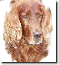 Fotka k 7 narozeninám