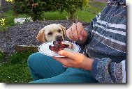 Ty mi nedáš ani kousnout?