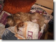 ZASLOUŽENÝ ODPOČINEK?