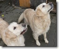 Eminka s Danečkem  - naši miláčci