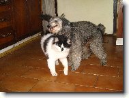 Tak rád tě zase vidím