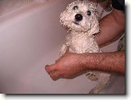 Při prvním koupáním...