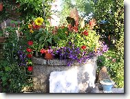 maminčina zahrádka