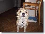 Zase jsem se namočila...