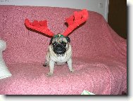 Šťastné a veselé