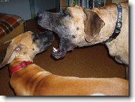 Matka domlouvá dceři.