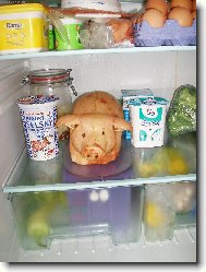 Živočich v lednici