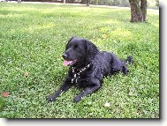 naše nalezená princezna