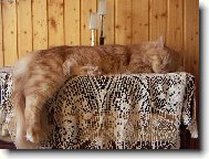 Baileys, spící monarcha