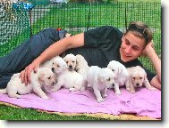 Páníček a jeho parta