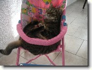 už jsem připravená, můžeme jet