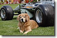 Baddy hlídá showcar F1