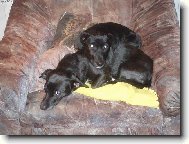 Háááááááájíííííííííí