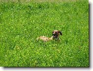 pohodička na horách