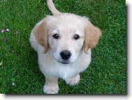 kuk!to jsem já Akim