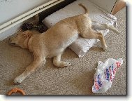 Takhle spím já a Ty?