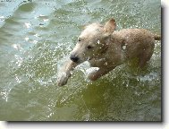 Miluju dovádění ve vodě!