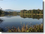 Rybník Olešná před výlovem