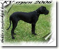 Ibekles z Josefovských bud