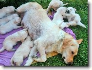 Nejúžasnější denní doba