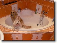 koupací maniaci :-))