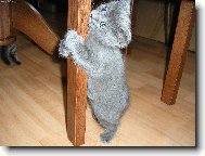 Stejně tam jednou vylezu :-)