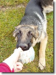 Já to nepustím! A co ty?