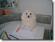 moje malířské umění