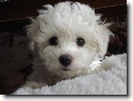 Jsem tak neskušenej...