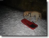 Já ten sníh prostě miluju