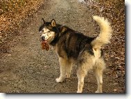 Jé..hele..list se mi přilepil na jazyk...:)