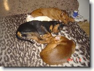 Prostě jen taková POHODICKA